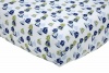 Nautica Zachary Crib Sheet