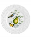 Ripe for the table, the Antique Countryside Pear dinner plate exudes charm with embossed vines and colorful nature scenes in traditional white stoneware. Complements Italian Countryside and Antique White dinnerware, also by Mikasa.