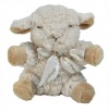 Cloud b Baby Sheep with Quiet Rattle