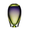 Beauty is truly in the eye of the beholder in Goran Warff's Vision vase. Soft, undulating shapes and faint nuances of lime green and purple make it an elegant classic.