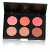 SHANY Cosmetics Fuchsia 6 Color Blush Palette, 8 Ounce