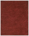 Anji Mountain Bamboo Chairmat & Rug Co. 5-Foot-by-8-Foot Silky Shag Rug, Crimson