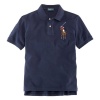 Polo Ralph Lauren Boy's Multicolor Big Pony Polo (Large (14-16), French Navy)