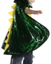 Creative Education's Reversible Dragon-Knight Cape