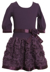 Bonnie Jean Girls 2-6X Knit Bodice To Chiffon Skirt with Bonaz Trim, Purple, 5