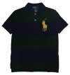 Ralph Lauren Toddler Boys's Big Pony Striped Polo (5, French Multi)