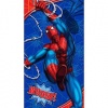 Spider Man Slumber Bag with Backpack