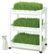 Tribest SM-350 Sproutman Wheatgrass Grower