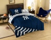 MLB New York Yankees Twin Sized Bed in a Bag