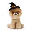 Gund Fun Boo The World's Cutest Dog Dressed for Halloween 5 Plush