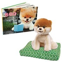 Boo, The World's Cutest Dog Book And Collectible Play Toy Plush