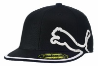 Puma Youth Monoline Flat Brim Cap (OSFA)