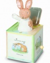 Guess How Much I Love You: Nutbrown Hare Jack-in-the-Box by Kids Preferred