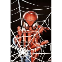 Spider-Man - Marvel Comics Poster (Spidey In Web) Poster Print, 22x34 Poster Print, 22x34 College Poster Print, 22x34