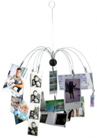 Kikkerland Spider Photo Clip Hanging Mobile