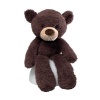 Gund Fuzzy Chocolate 13.5 Bear Plush