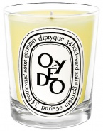 The Oyedo scent is refreshing and stimulating. This candle is the fruit of a tonic blend of citrus fruits (mandarin and grapefruit).Fruity 50-60 hours burn time Keep wick trimmed to ½ to ensure optimal use Hand poured and made in France