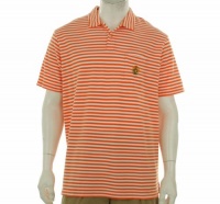 Polo Ralph Lauren Men's Classic Fit Striped Polo Shirt