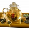 Primula PTA-4009 Flowering Tea Set with 40-Ounce Pot, 6 Flowering Teas, and Loose-Tea Variety Pack