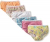 Fruit of the Loom Girls 2-6x Toddler 6 Pack Wardrobe Brief