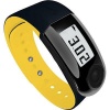 Nike+ SportBand