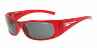 Arnette Hold Up Italian Sunglasses AN4139 ALL COLORS Holdup, 2024/87 Translucent Red w/ Grey Lens Closeout!