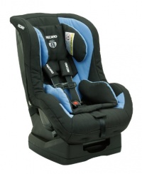 RECARO Euro Convertible Seat, River