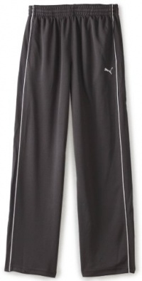 Puma Boys 8-20 Mesh Pant, Grey, Large