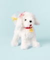 Madame Alexender Frenchy The Posh Puppy - Plush 7 Inch Doll