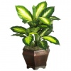 Nearly Natural Golden Dieffenbachia w/Wood Vase Silk Plant