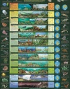 (24x36) Eras of Life Geology Educational Science Chart Poster