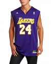 Los Angeles Lakers Kobe Bryant Men's Purple NBA Replica Jersey REVOLUTION 30