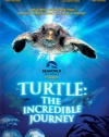 Turtle: The Incredible Journey