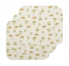 Carter's 3 Count Keep Me Dry Flannel Lap Pads, Lily Pad Frog