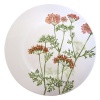 Villeroy & Boch Althea Nova Salad Plate