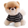 Gund 5 Itty Bitty Boo in T-Shirt Plush