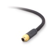 Belkin PureAV AV21100-12 12-Foot S-Video Cable