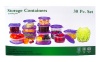 30pc Plastic Container Set w/ Purple Lids