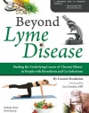 Beyond Lyme Disease: Healing the Underlying Causes of Chronic Illness in People with Borreliosis and Co-Infections