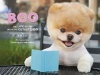 Boo: The Life of the World's Cutest Dog