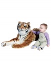 Answer the call of the wild with this lifelike push tiger. Measures 75 by 17 by 20.