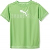 Puma - Kids Boys 8-20 Big Active Tee, Green, Medium