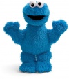 Gund Sesame Street Cookie Monster Plush 13 IN