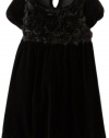 Hartstrings Girls 2-6X Toddler Stretch Knit Velvet Dress, Black, 2T