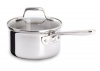 Emeril E9832164 PRO-CLAD Stainless Steel Dishwasher Safe 1-Quart Sauce Pan with Lid Cookware, Silver