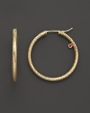 18K yellow gold hoop earrings with signature ruby accent from Roberto Coin.