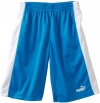 Puma - Kids Boys 8-20 Mesh Short, Blue Aster, Large