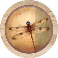 Dragonfly Parchment Sandstone Thirstystone Coasters