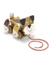 Such a friendly puppy!  Just pull the string and this pup will follow along while wagging its tail. With its perpetual smile and wobbly gait, Melissa and Doug's Playful Puppy Pull Toy is the perfect companion to be pulled along with an early walker. Brightly painted with nontoxic paint.