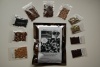 Survival Seed Kit, High Protein, 100% Heirloom/non GMO (Protein can be dangerously low in other seed kits)